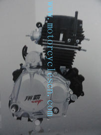 China 164FML escogen el aire del cilindro refrescan la vertical de 4 Sftkoe con los motores de las motocicletas del eje de la balanza proveedor