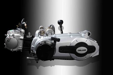 motor de la vespa del motor 250cc del 1P69MM proveedor