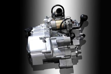 motor de la vespa del motor 250cc del 1P69MM proveedor