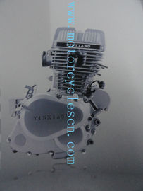 la ln-línea 4stroke del cilindro del gemelo de 244FMI CB125T aflige los motores verticales frescos de la motocicleta proveedor